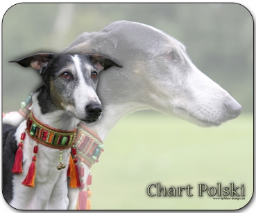 Mousepad Chart Polski (Polnischer Windhund) #2